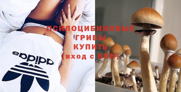 тгк Нефтекумск