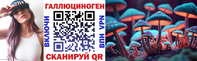 Галлюциногенные грибы MAGIC MUSHROOMS  купить наркотик  Кириллов 